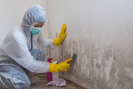 Mold Remediation for Vacation Homes in Athens, WV